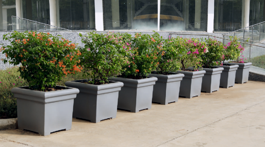 Planter Pots